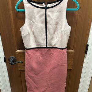 LOFT Sheath Dress in Shades of Pink for Work